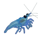Vorgi